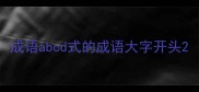 成语abcd式的成语大字开头