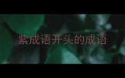 紫成语开头的成语