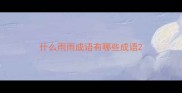 什么雨雨成语有哪些成语