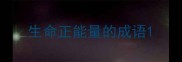 生命正能量的成语