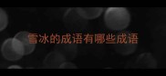 雪冰的成语有哪些成语