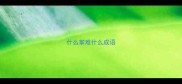 什么掌难什么成语