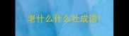 老什么什么壮成语