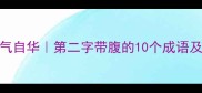 腹有诗书气自华第二字带腹的10个成语及使用指南