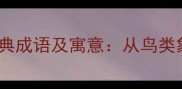 10个带鹊字的经典成语及寓意从鸟类象征到文化传承