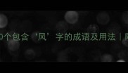 风足成语大全100个包含风字的成语及用法附诗词例句家长必看