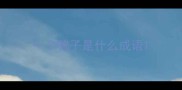一个鸭子是什么成语
