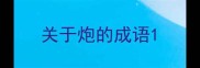 关于炮的成语