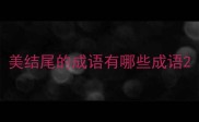 美结尾的成语有哪些成语
