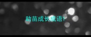 助苗成长成语