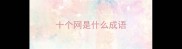 十个网是什么成语