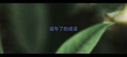成年了的成语