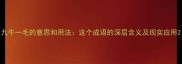 九牛一毛的意思和用法这个成语的深层含义及现实应用
