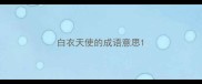 白衣天使的成语意思