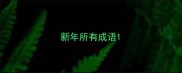 新年所有成语