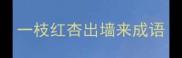 一枝红杏出墙来成语