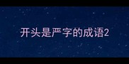 开头是严字的成语