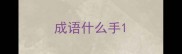 成语什么手