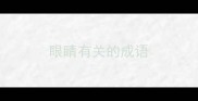 眼睛有关的成语