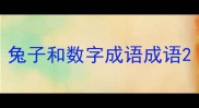 兔子和数字成语成语