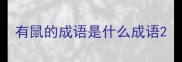 有鼠的成语是什么成语