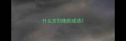 什么文扫地的成语