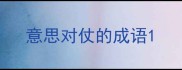 意思对仗的成语