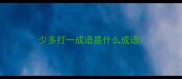 少多打一成语是什么成语