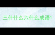 三什什么六什么成语
