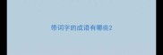带词字的成语有哪些