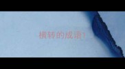 横转的成语
