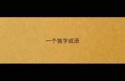 一个独字成语