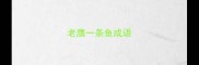 老鹰一条鱼成语