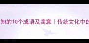 保护鸟类必知的10个成语及寓意传统文化中的生态智慧