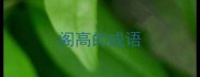 阁高的成语