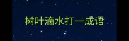 树叶滴水打一成语