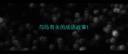 与马有关的成语故事