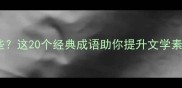 云孤成语有哪些这20个经典成语助你提升文学素养附详细