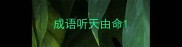 成语听天由命