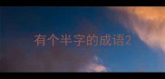 有个半字的成语