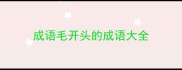 成语毛开头的成语大全