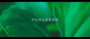 什么什么磊落成语