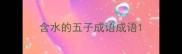 含水的五子成语成语