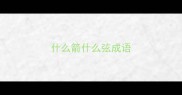 什么箭什么弦成语
