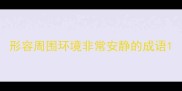 形容周围环境非常安静的成语