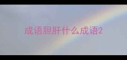 成语胆肝什么成语