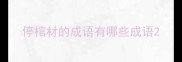 停棺材的成语有哪些成语