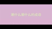 潮什么潮什么的成语