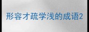 形容才疏学浅的成语