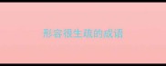 形容很生疏的成语